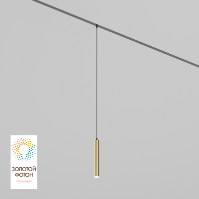 Светильник на шине Denkirs SMART SPOT DK8008-BG