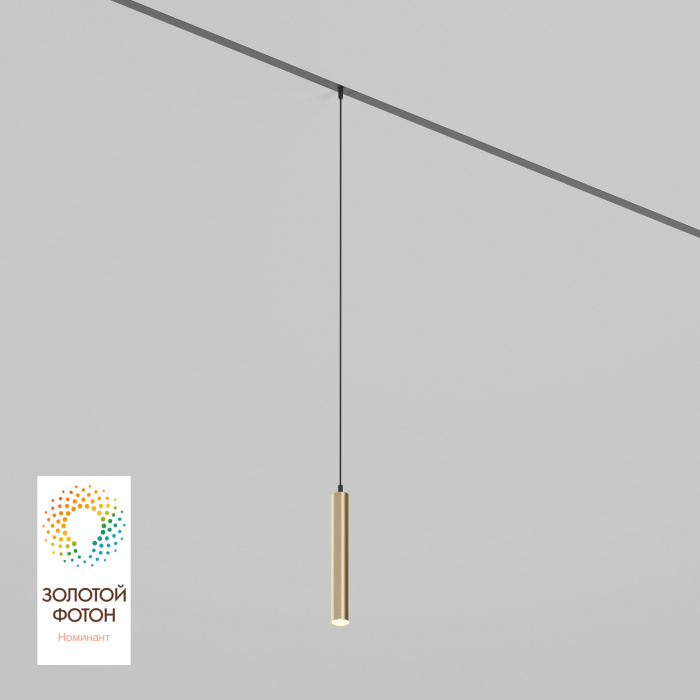 Светильник на шине Denkirs SMART SPOT DK8008-BG