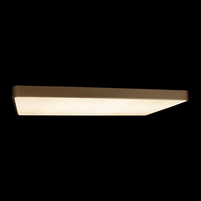 Потолочный светильник Loft it Flims 10228/E