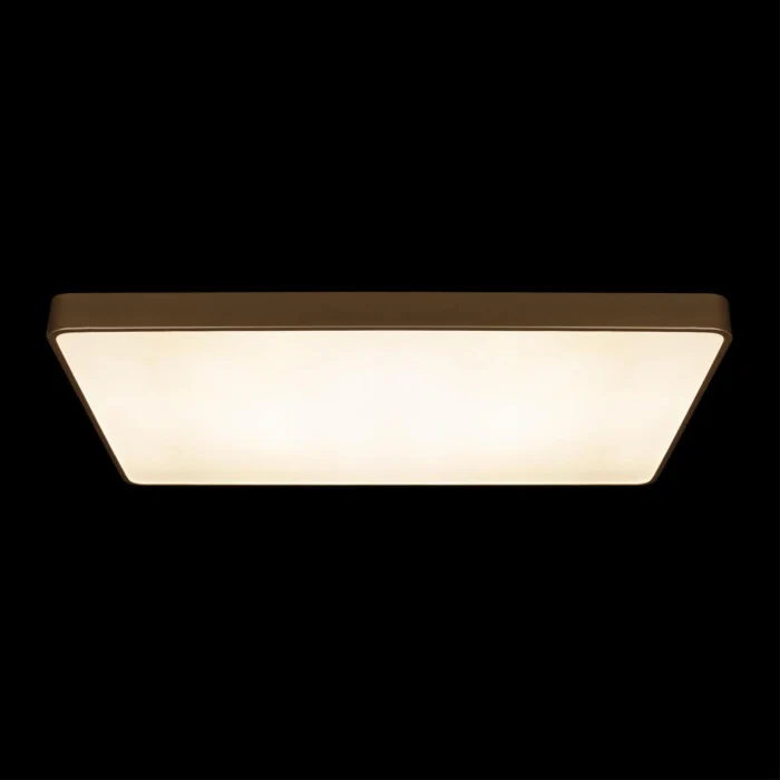 Потолочный светильник Loft it Flims 10228/E