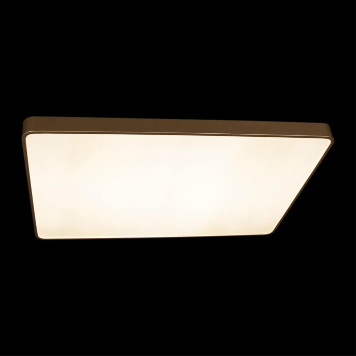 Потолочный светильник Loft it Flims 10228/E