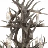Люстра подвесная CORNA ST LUCE SL154.703.12
