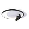 Настенно-потолочный светодиодный светильник с пультом Ambrella light FL51392