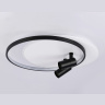 Настенно-потолочный светодиодный светильник с пультом Ambrella light FL51392
