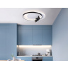 Настенно-потолочный светодиодный светильник с пультом Ambrella light FL51392