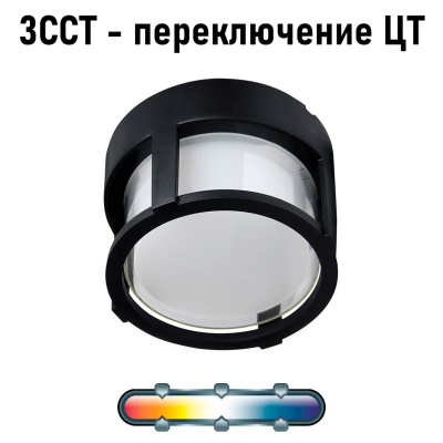 Уличный потолочный светильник Arte Lamp ULYSSES A6206PF-1BK