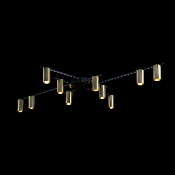 Светильник потолочный LOFTIT 8120C-10