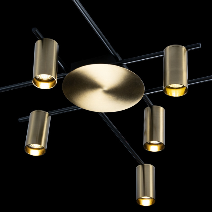 Светильник потолочный LOFTIT 8120C-10