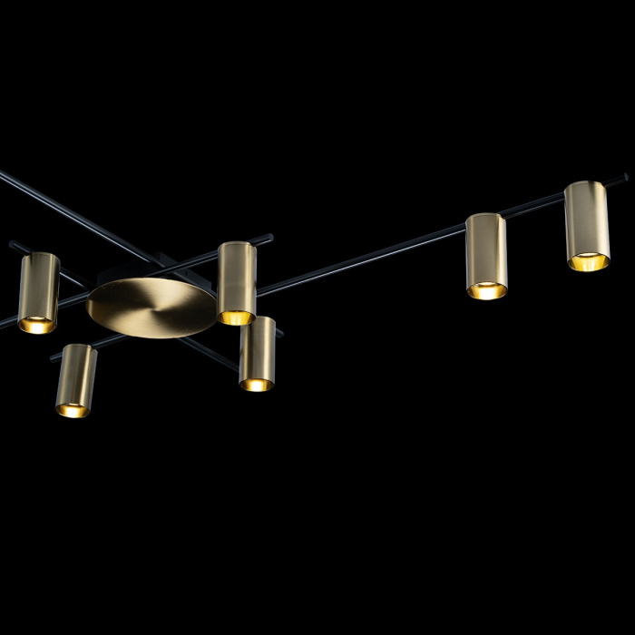 Светильник потолочный LOFTIT 8120C-10