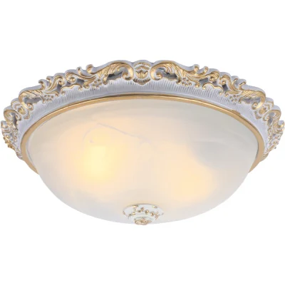 Светильник потолочный Arte Lamp TORTA A7152PL-2WG