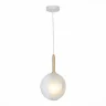 Подвесной светильник ST LUCE FOLIGNO SL1183.503.01