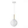 Подвесной светильник ST LUCE FOLIGNO SL1183.503.01