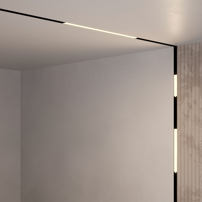 Трековый светильник Maytoni Basis TR074-2-12W4K-B