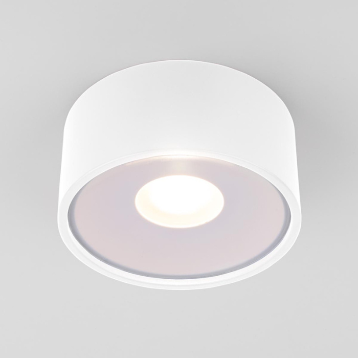 Уличный потолочный светильник Elektrostandard Light led 4690389180132