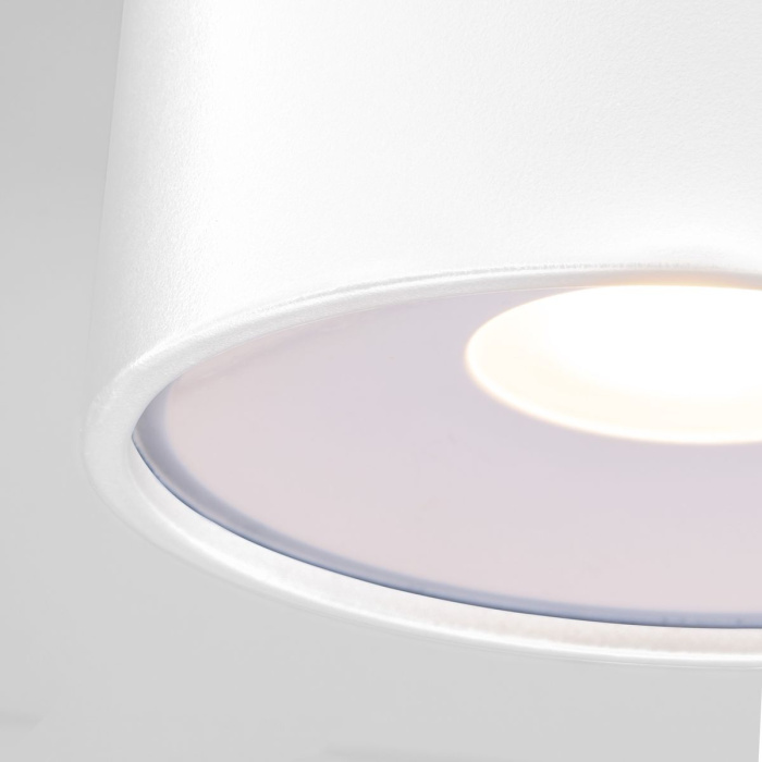 Уличный потолочный светильник Elektrostandard Light led 4690389180132