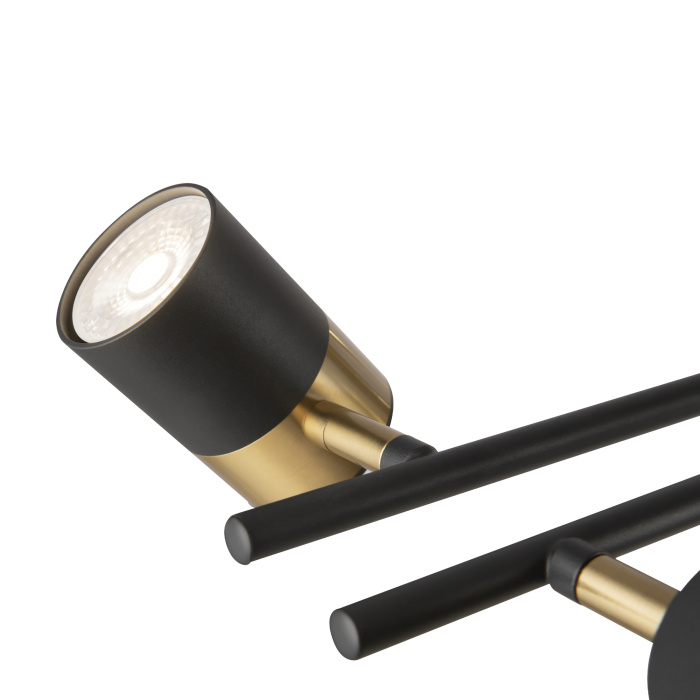 Люстра на штанге Freya Enzo FR5201PL-10B