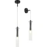 Светильник подвесной настенный Stilfort 2184/02/01PW MONNE