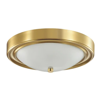 Настенно-потолочный светильник LUMION 5259/2C