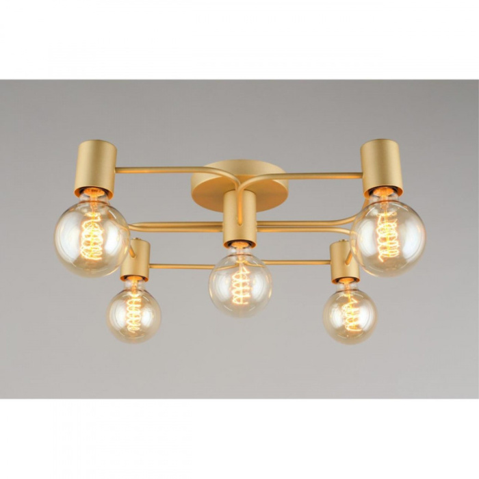 Люстра потолочная Aployt Elison APL.911.07.05