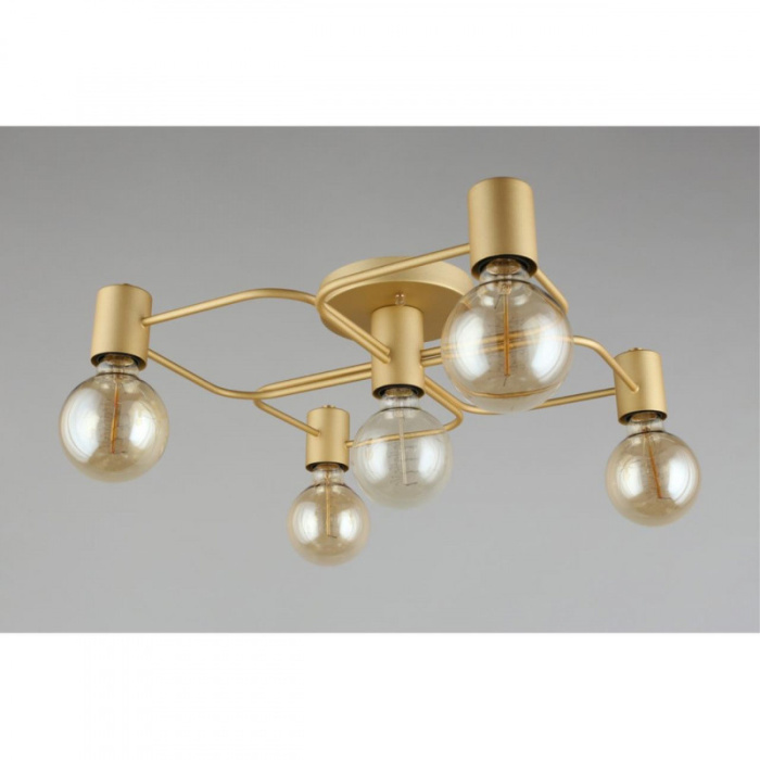 Люстра потолочная Aployt Elison APL.911.07.05