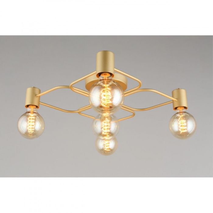 Люстра потолочная Aployt Elison APL.911.07.05