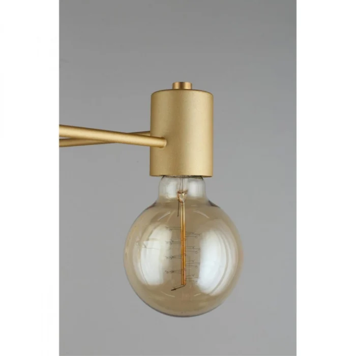 Люстра потолочная Aployt Elison APL.911.07.05