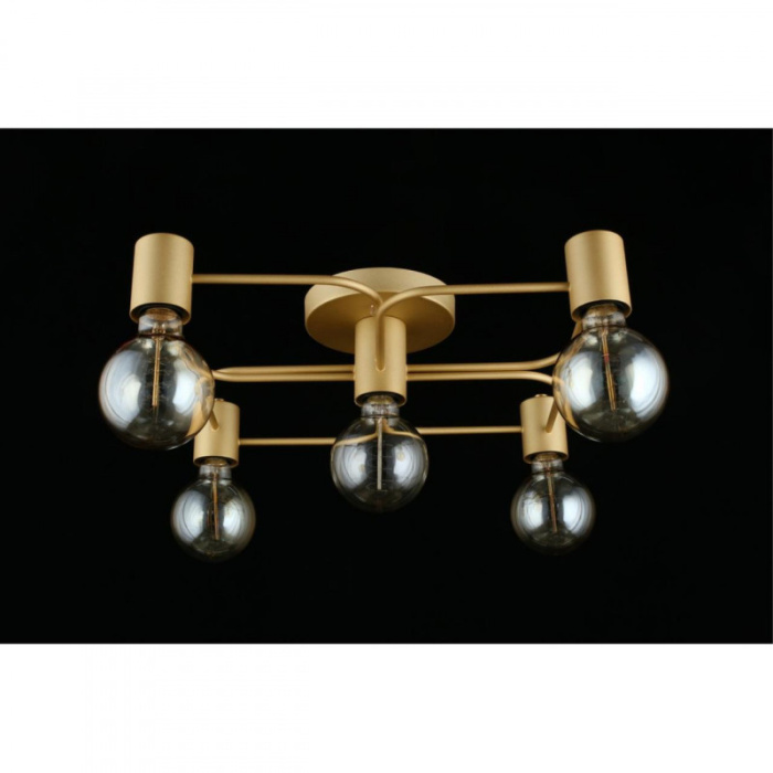 Люстра потолочная Aployt Elison APL.911.07.05