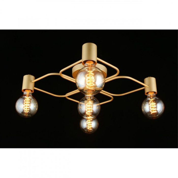 Люстра потолочная Aployt Elison APL.911.07.05