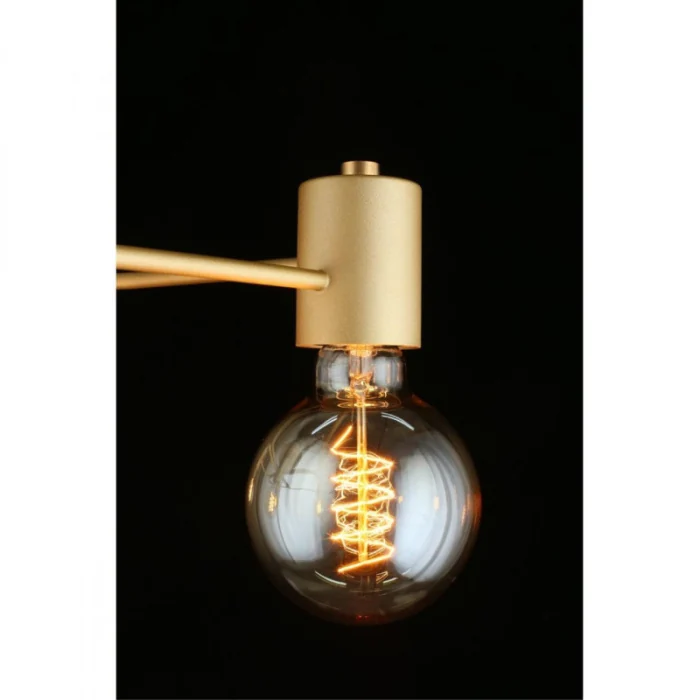 Люстра потолочная Aployt Elison APL.911.07.05