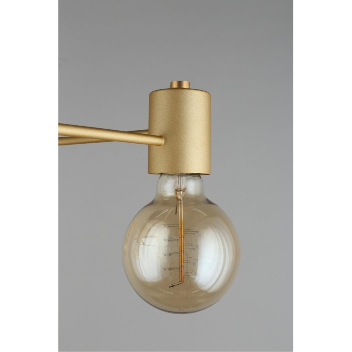 Люстра потолочная Aployt Elison APL.911.07.05