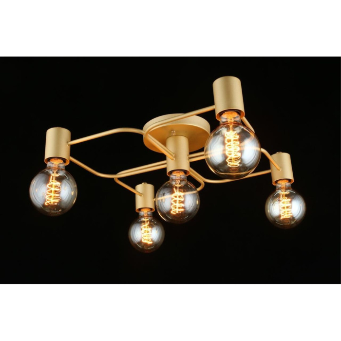 Люстра потолочная Aployt Elison APL.911.07.05