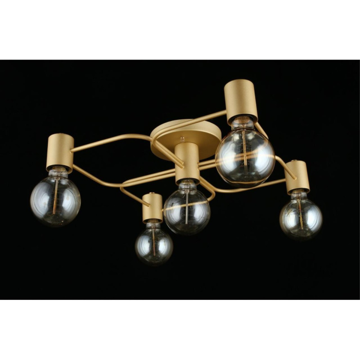 Люстра потолочная Aployt Elison APL.911.07.05