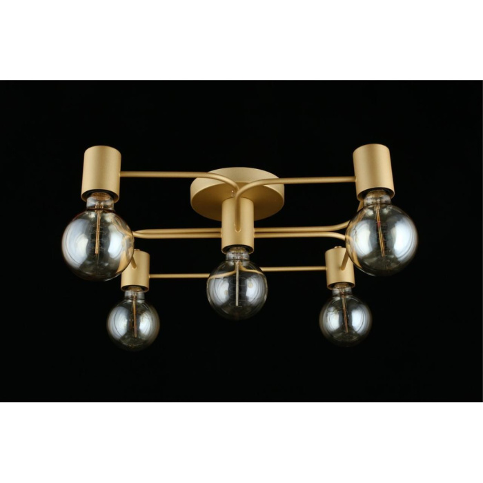 Люстра потолочная Aployt Elison APL.911.07.05