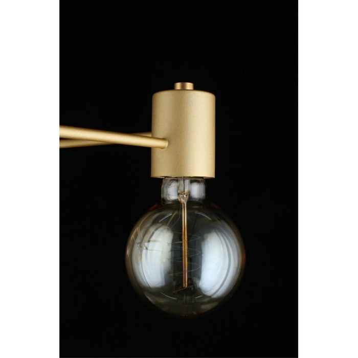 Люстра потолочная Aployt Elison APL.911.07.05