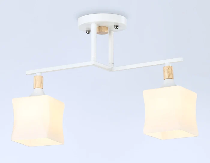 Потолочный светильник Ambrella light TR9484