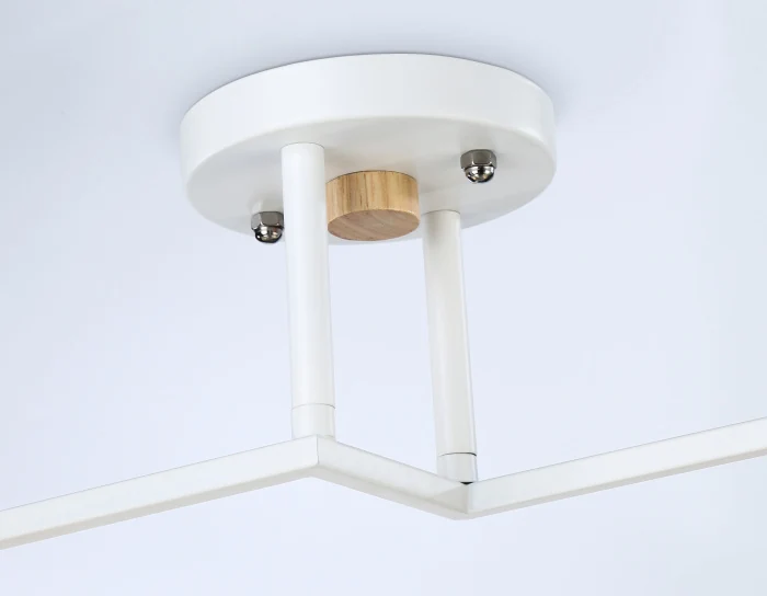 Потолочный светильник Ambrella light TR9484