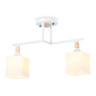 Потолочный светильник Ambrella light TR9484