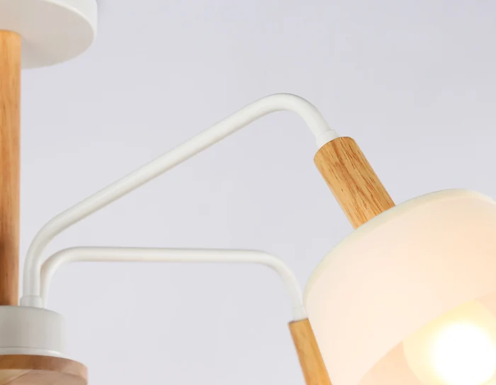 Потолочный светильник со сменной лампой Ambrella light TR4738