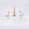 Потолочный светильник со сменной лампой Ambrella light TR4738