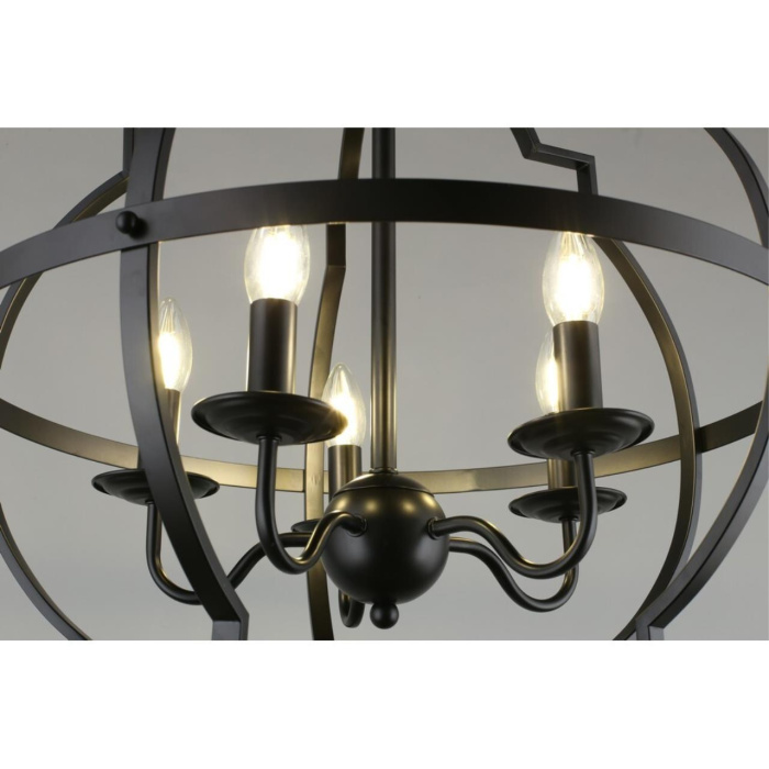 Люстра подвесная Aployt Sharlotta APL.664.13.05