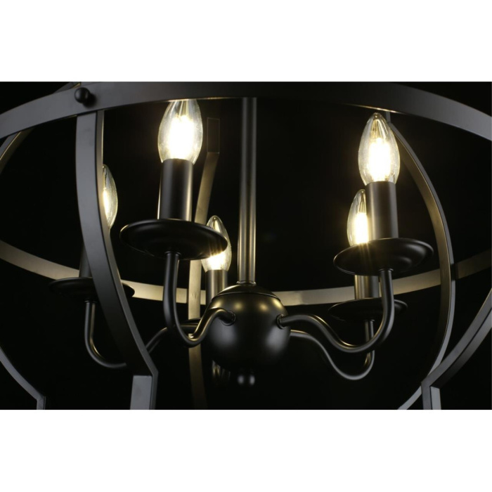 Люстра подвесная Aployt Sharlotta APL.664.13.05