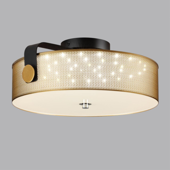 Потолочный светильник LUMION 6597/40L