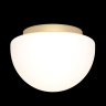 Потолочный светильник Maytoni Glassy MOD270CL-01G