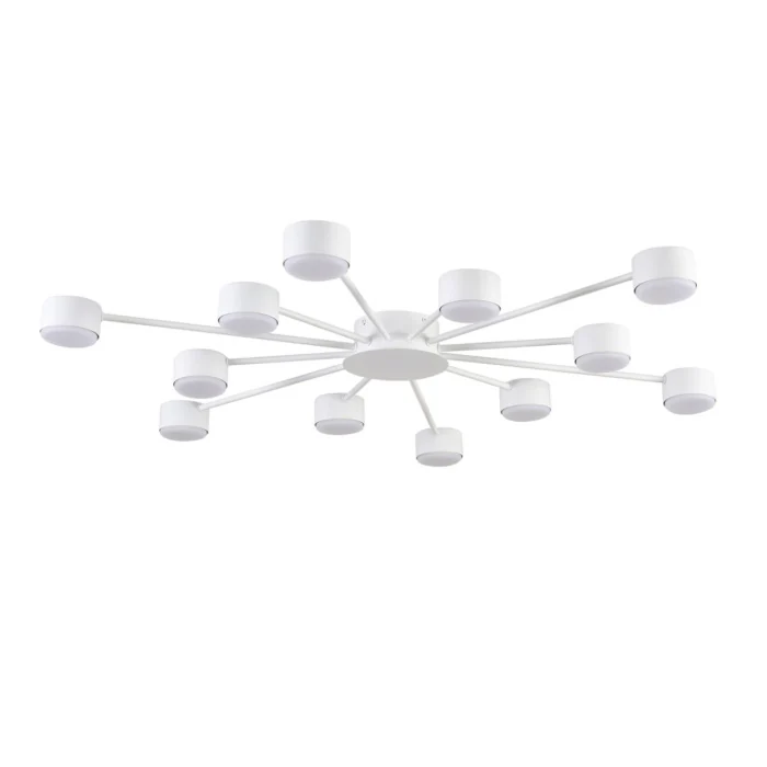 Люстра потолочная Lumion Torina 8343/12C