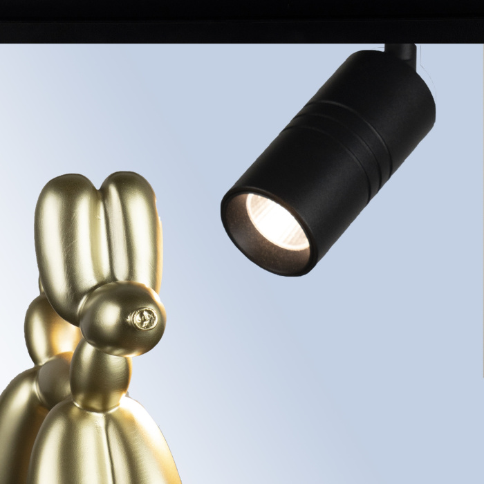 Трековый светильник LOFT IT T105-07