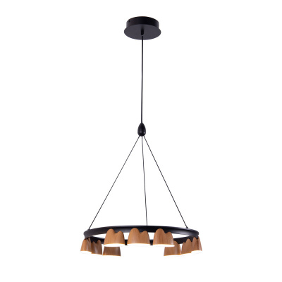 Подвесная люстра Favourite 4266-9P