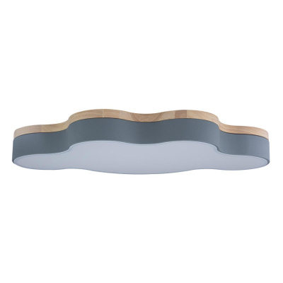 Светильник потолочный Loft it Axel 10005/36 Grey