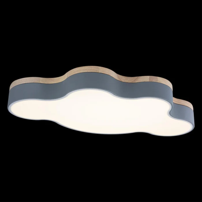 Светильник потолочный Loft it Axel 10005/36 Grey