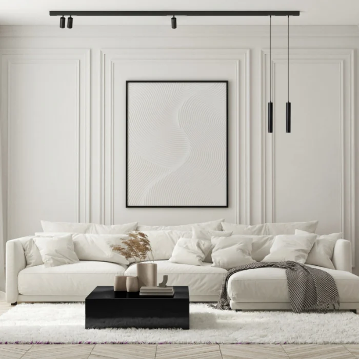 Светильник на шине Denkirs SMART SPOT DK8008-BK
