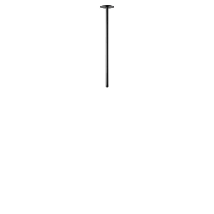 Потолочный светильник Loft it Cane 10359/500 Black